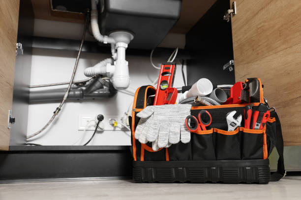 Best Plumbing Inspection Services  in La Fayette, AL